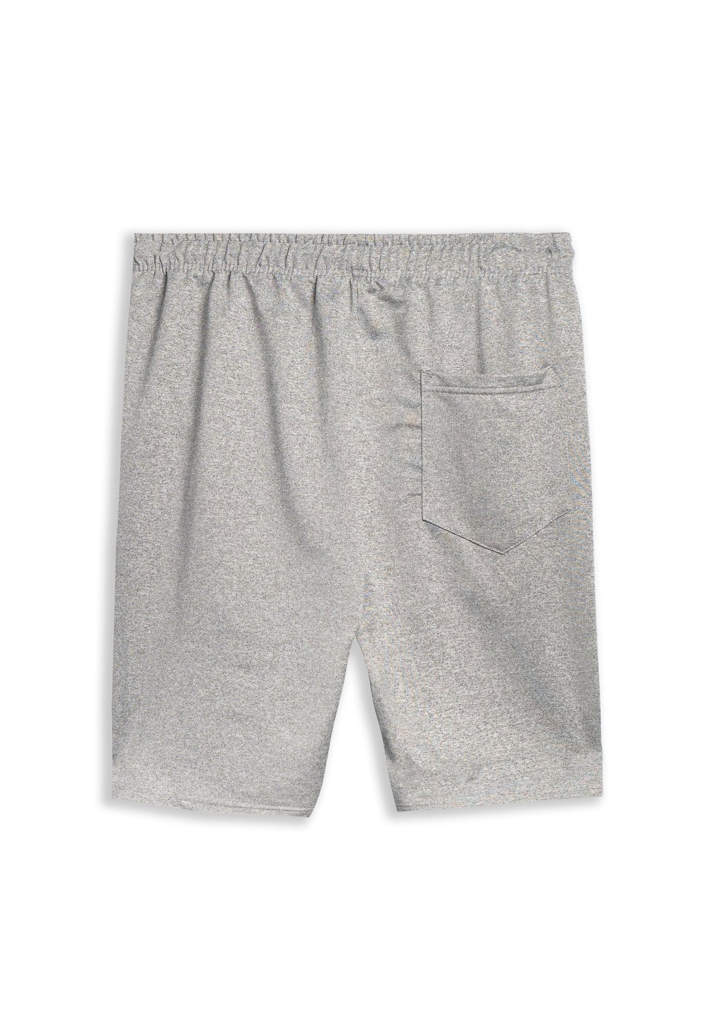BERMUDA GRIS LOS ANGELES 23 POLY SHORT - AREA ZERO