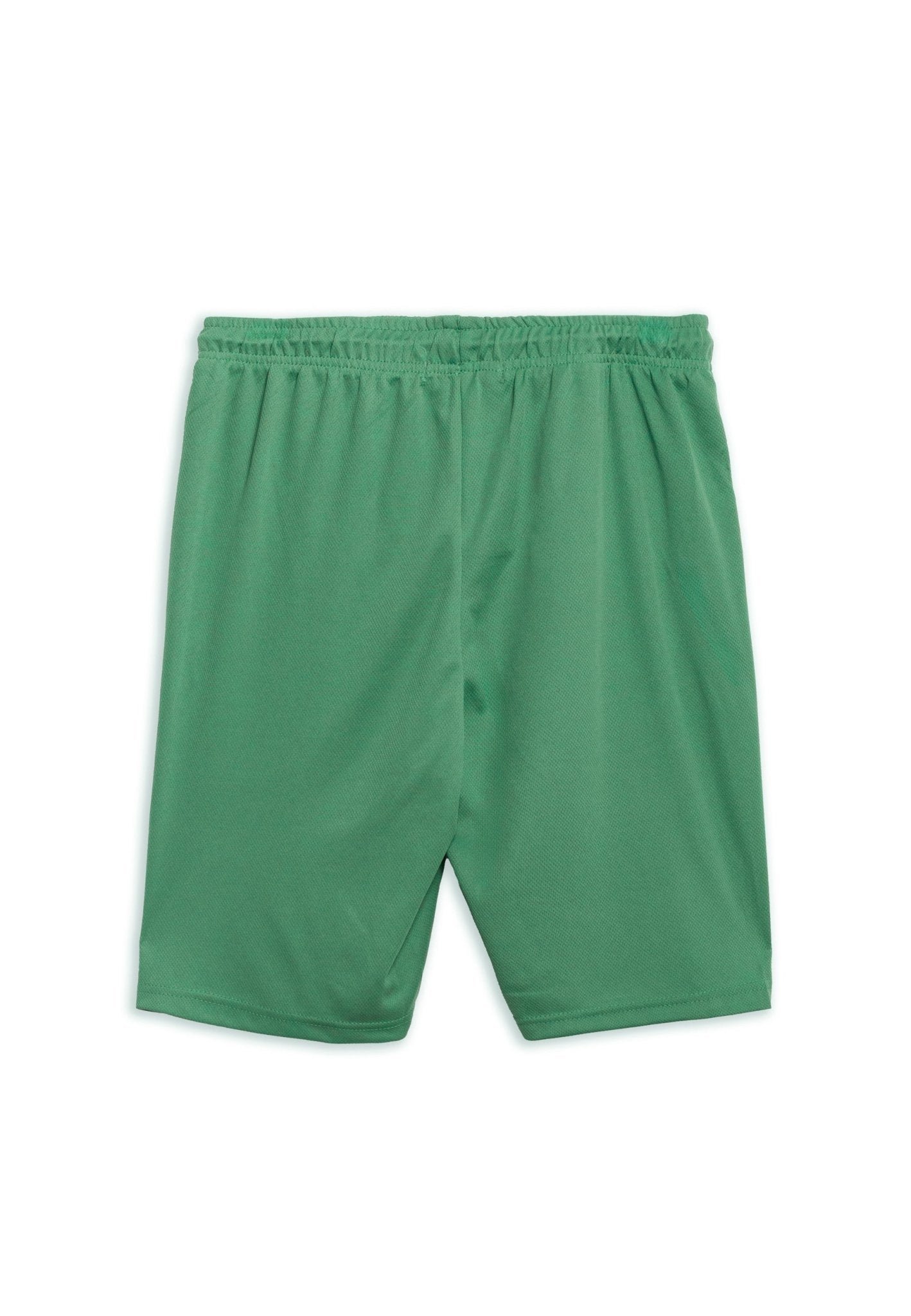 BERMUDA VERDE BOSTON 36 SPORT SHORT - AREA ZERO