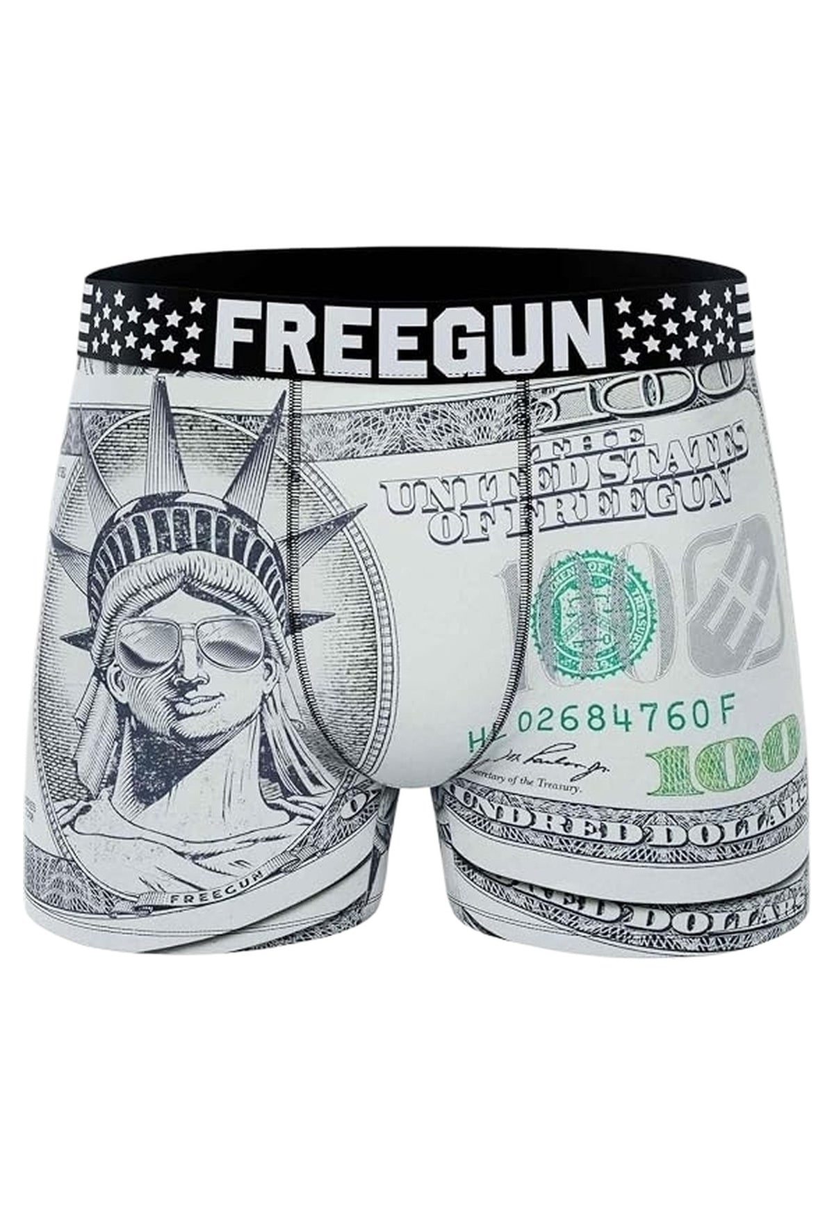 BOXER FREEGUN GRIS 100 DOLLARS STANDARD LENGHT TRUNK