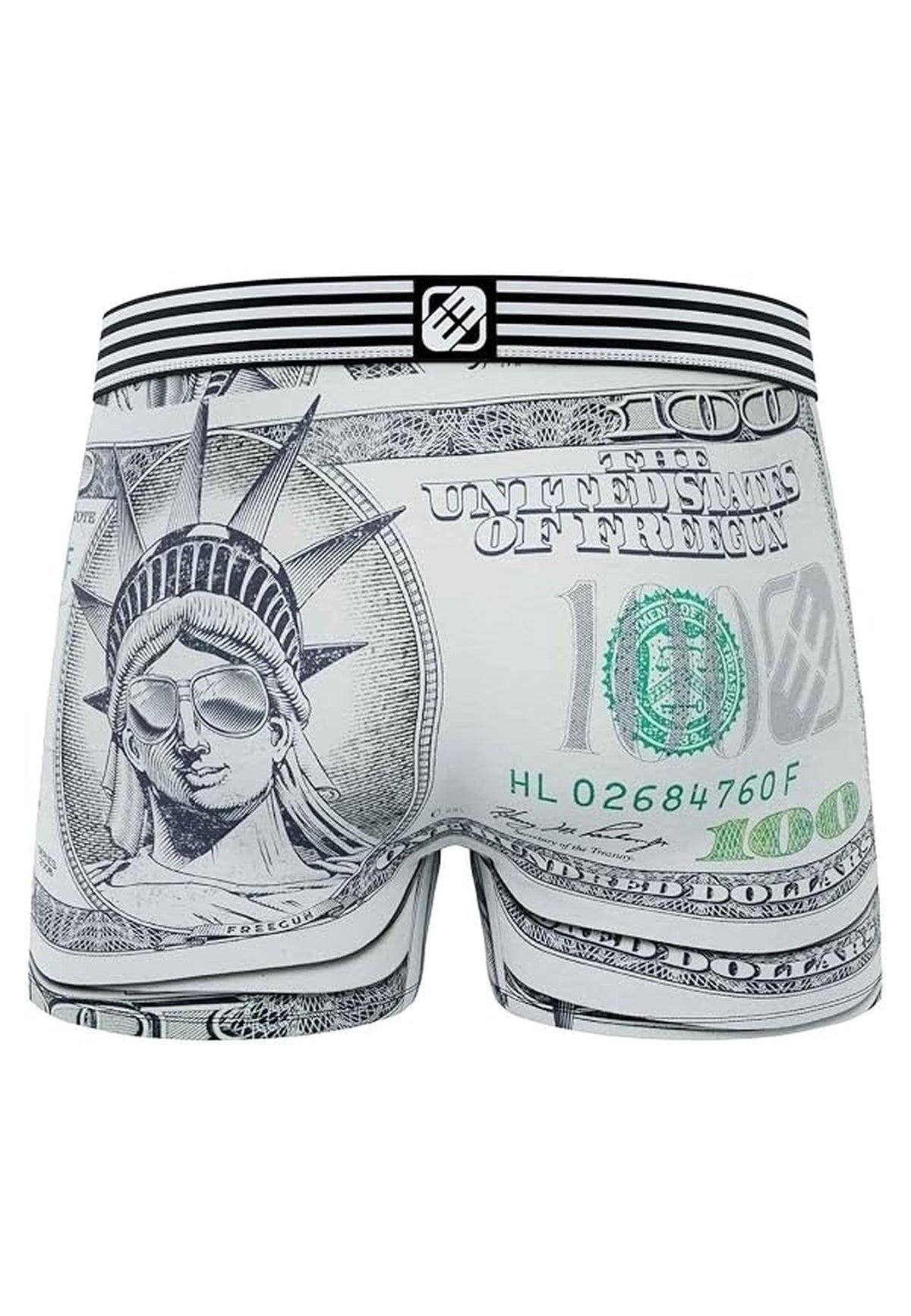 BOXER FREEGUN GRIS 100 DOLLARS STANDARD LENGHT TRUNK