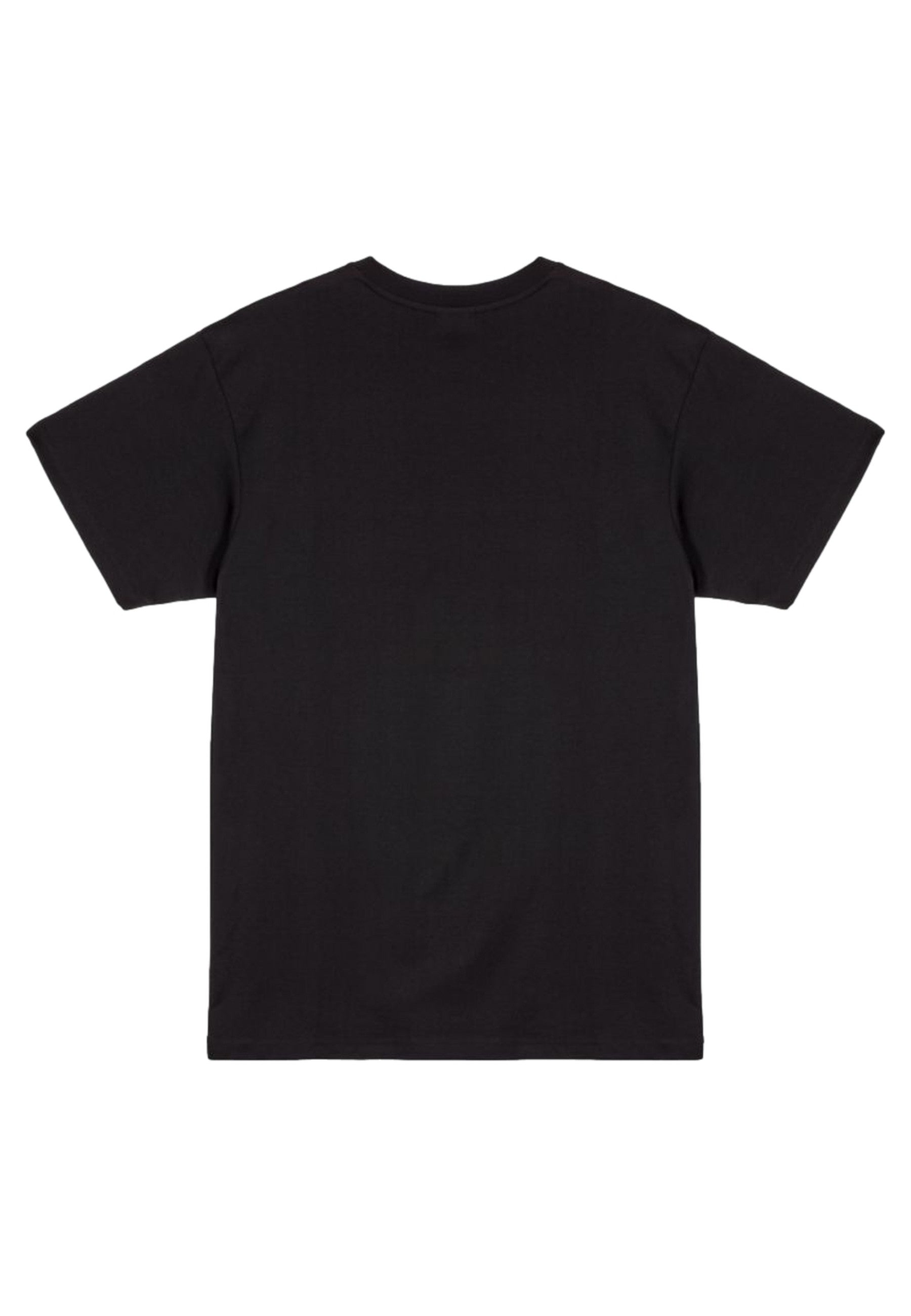 CAMISETA GRIMEY NEGRA BURN IN FLAMES REGULAR TEE