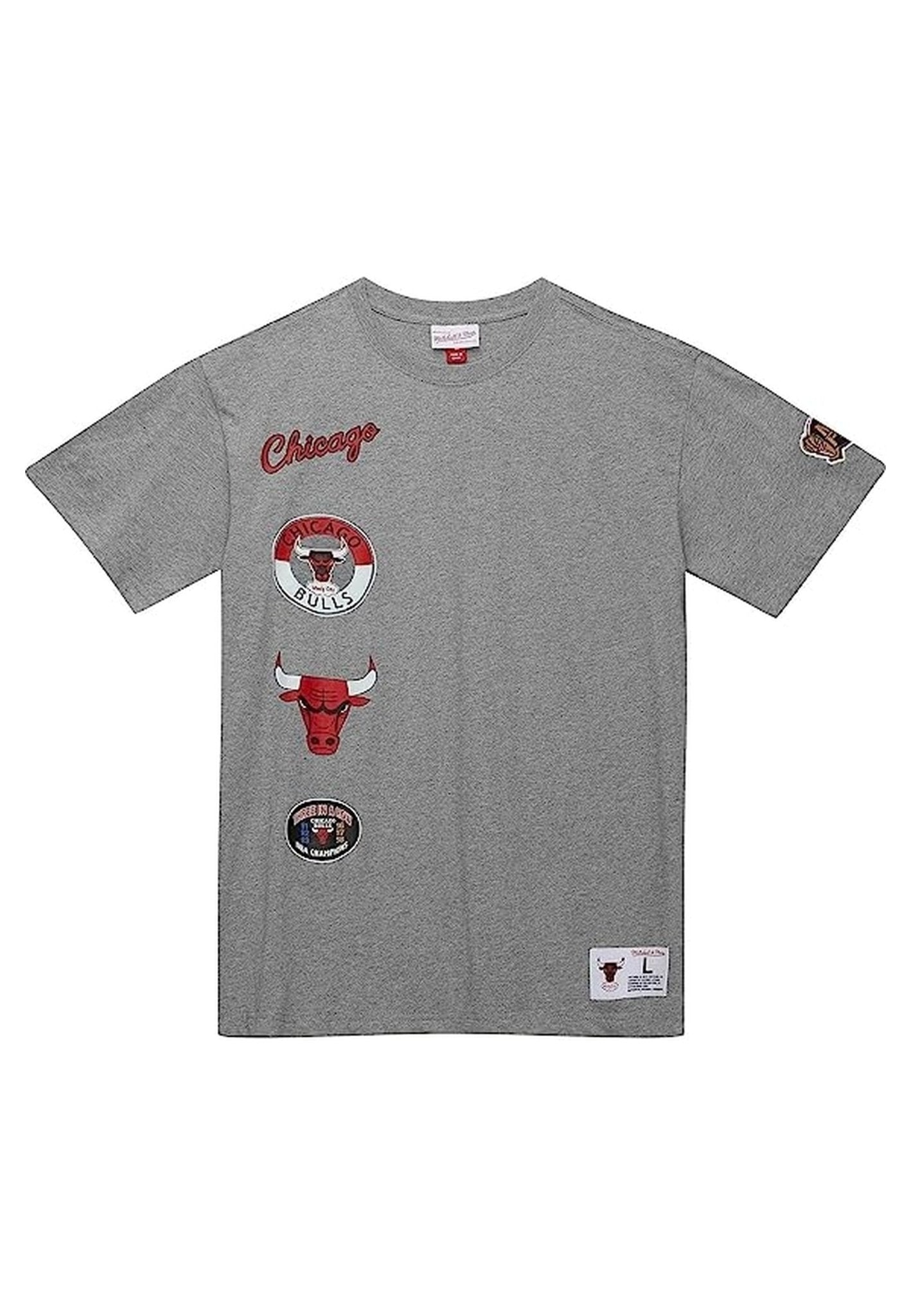 CAMISETA MITCHELL & NESS GRIS CHICAGO BULLS CITY COLLECTIO TEE - AREA ZERO