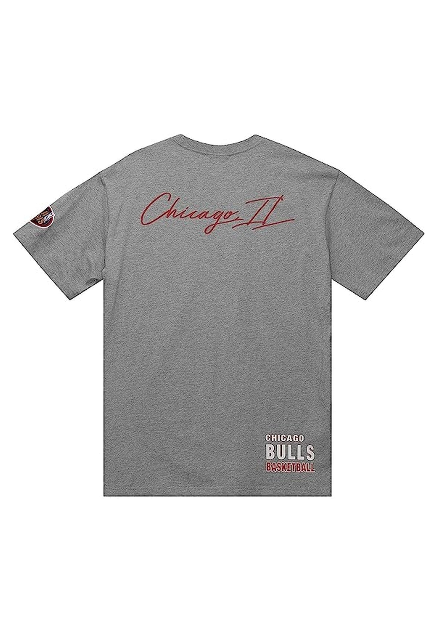 CAMISETA MITCHELL & NESS GRIS CHICAGO BULLS CITY COLLECTIO TEE