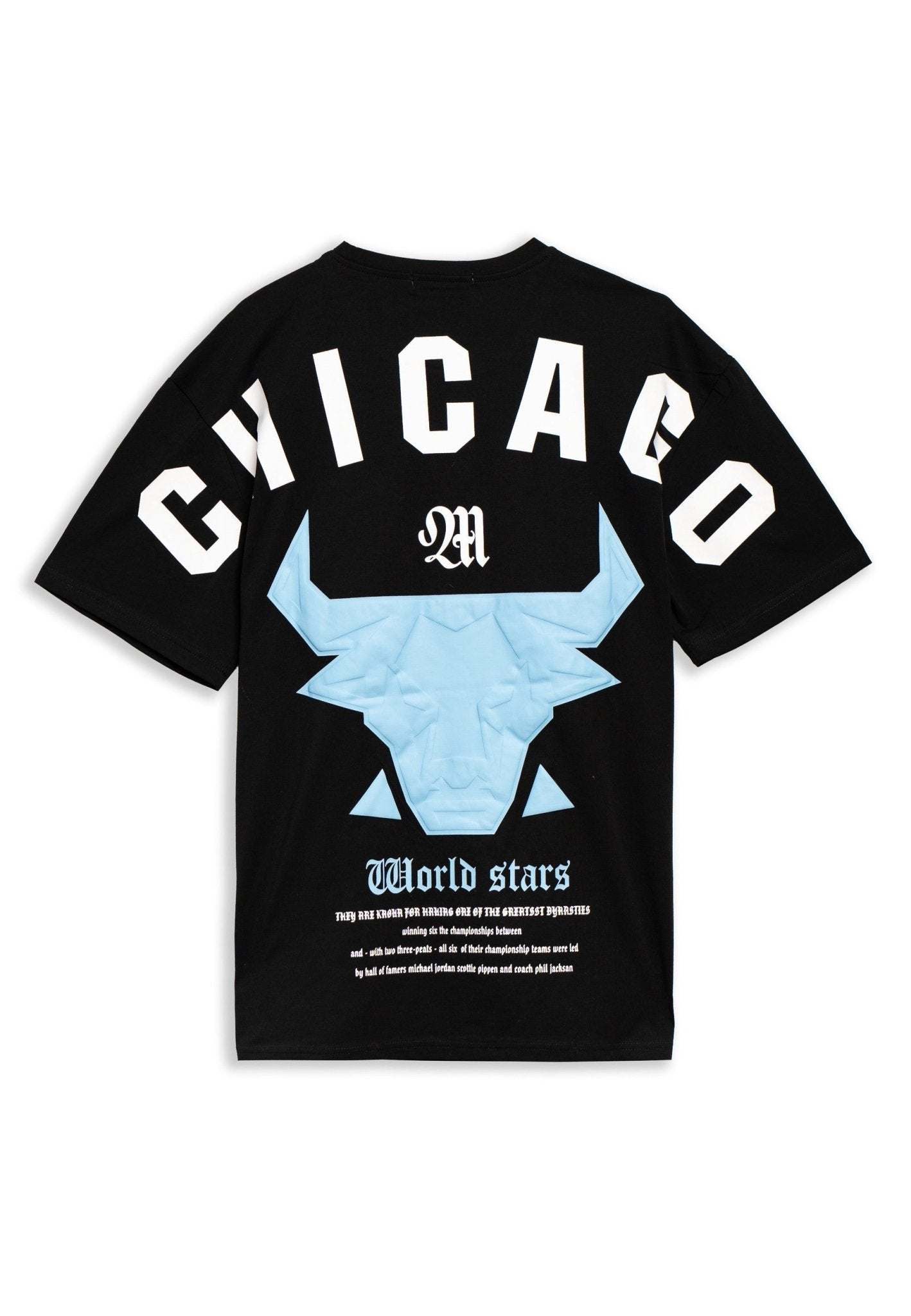 CAMISETA NEGRA/CELESTE CHICAGO WORLD STAR OVERSIZED TEE - AREA ZERO