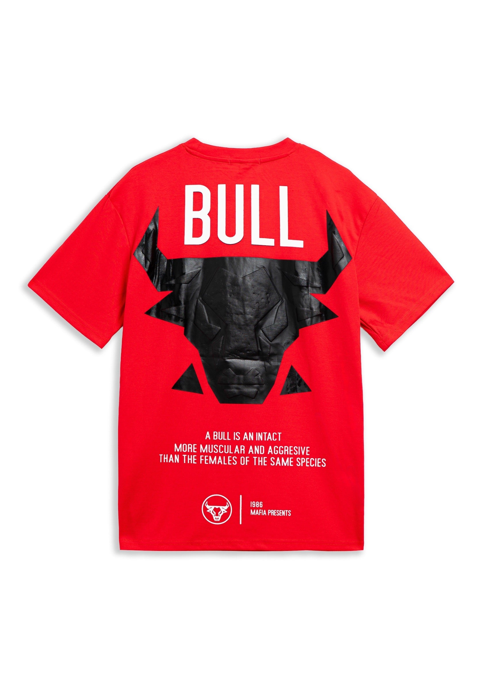 CAMISETA ROJA BULL CHICAGO OVERSIZED TEE