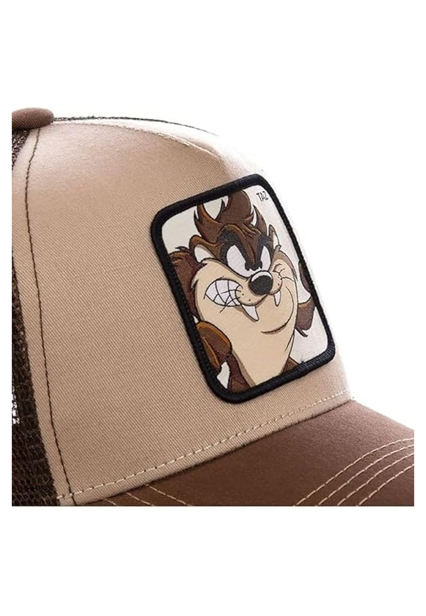 GORRA COLLAB MARRON TAZ BORDADO FRENTE TRUCKER VISERA CURVA
