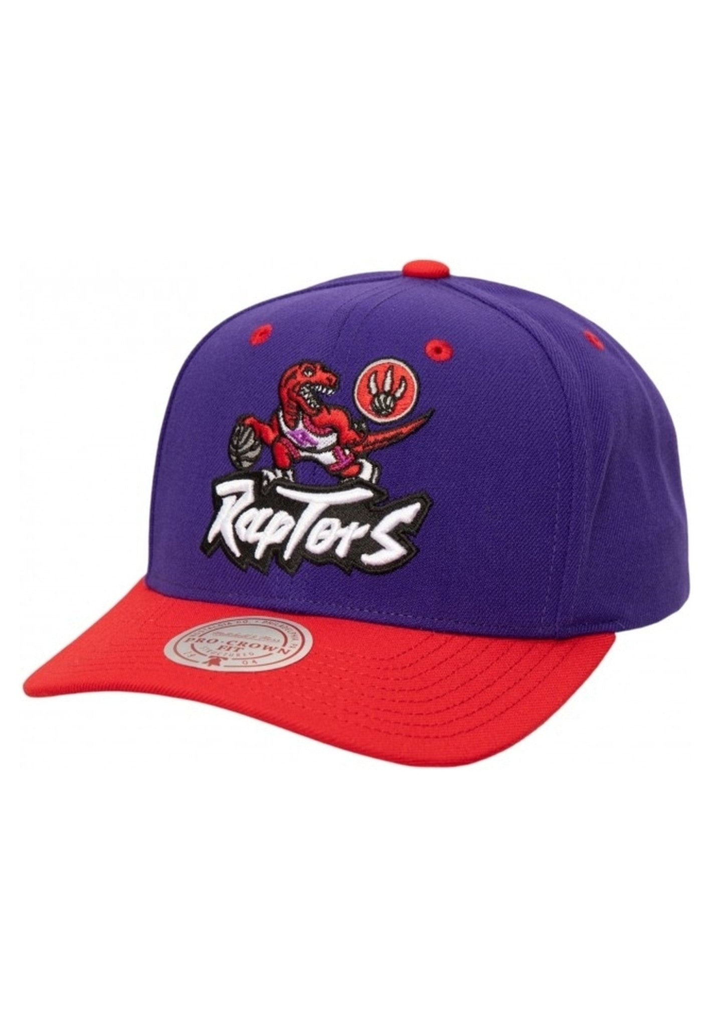 GORRA MITCHELL & NESS MORADA RAPTORS ALL IN 2.0 PRO SNAPBACK - AREA ZERO