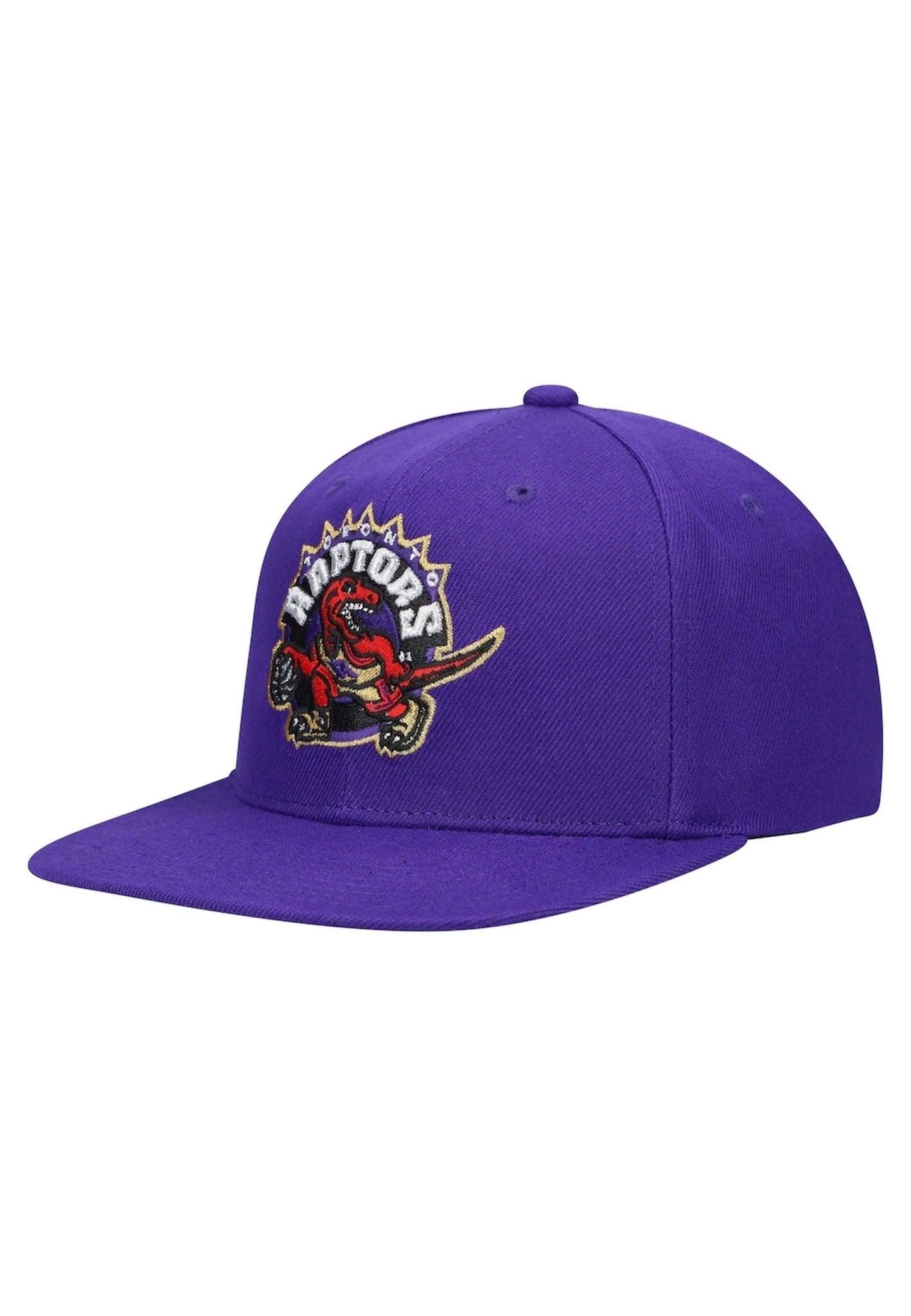 GORRA MITCHELL & NESS MORADA RAPTORS TEAM GROUND 2.0 HWC SNAPBACK - AREA ZERO