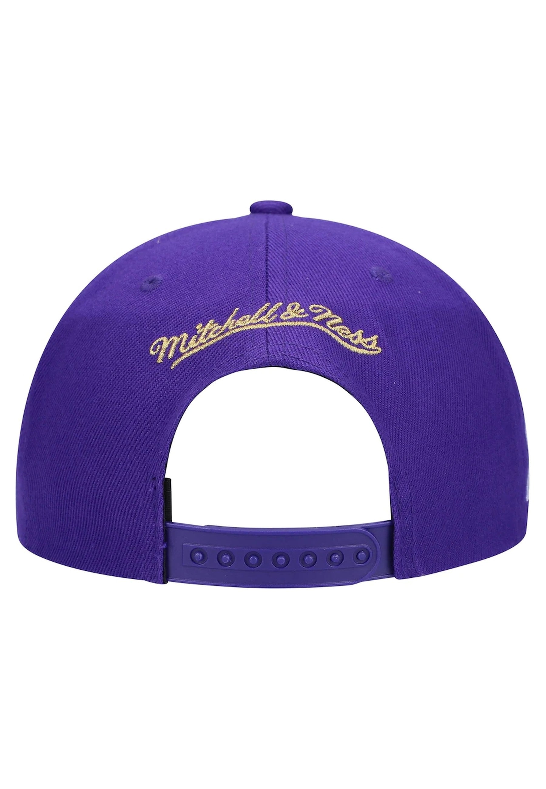 GORRA MITCHELL & NESS MORADA RAPTORS TEAM GROUND 2.0 HWC SNAPBACK