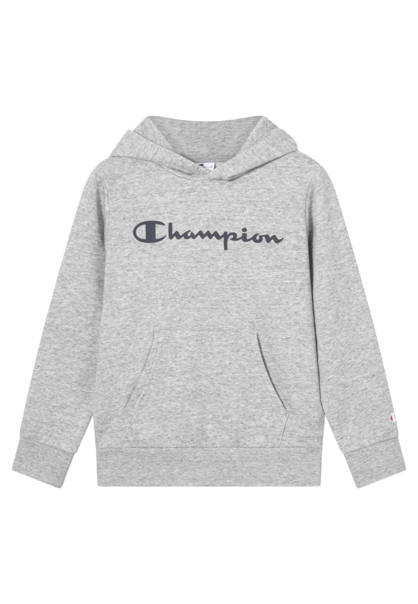 SUDADERA JUNIOR CHAMPION GRIS BIG PRINTED LOGO HOODIE - AREA ZERO
