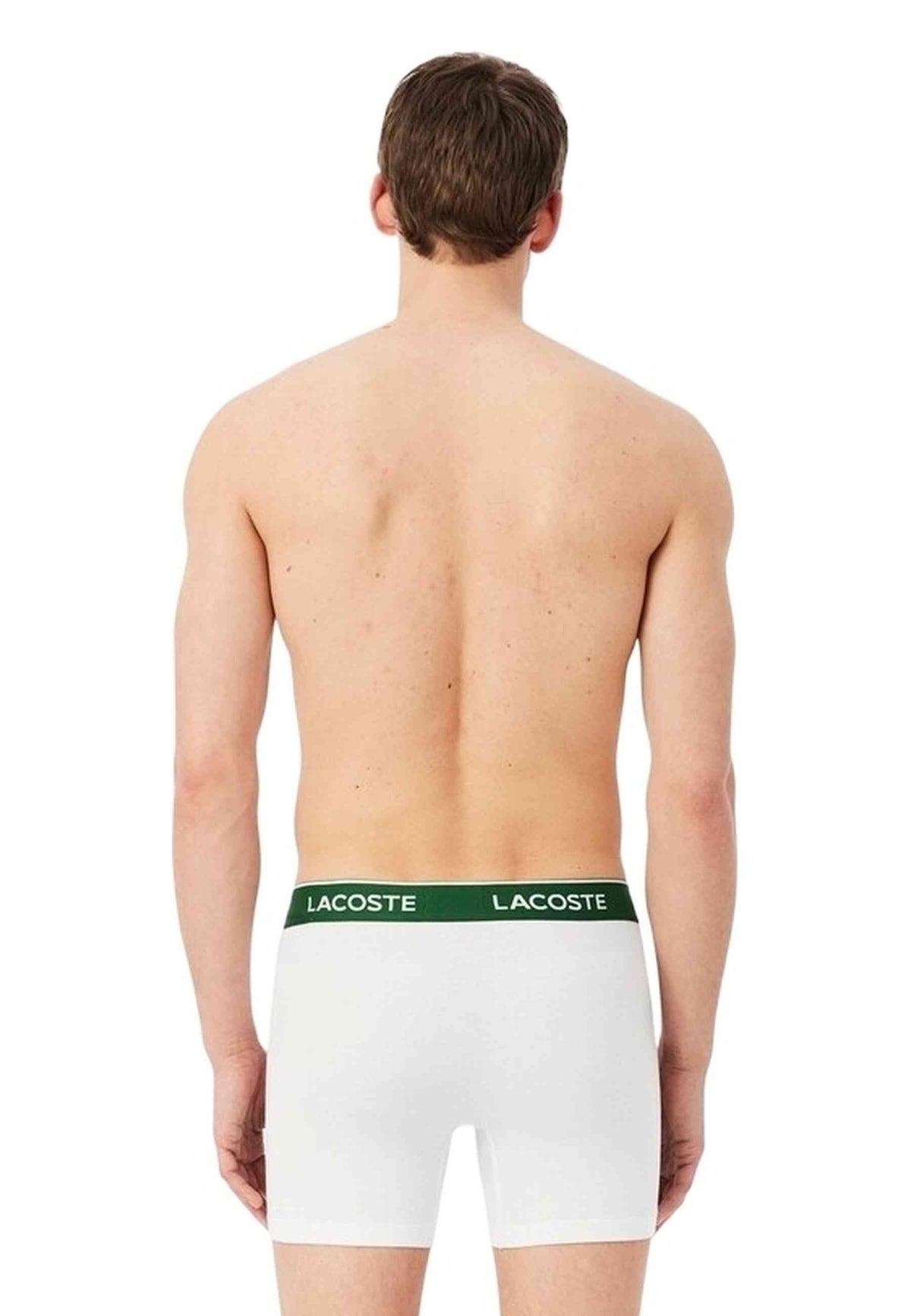 TRIPACK BOXERS LACOSTE CLASSIC LOGO WAISTBAND TRUNKS