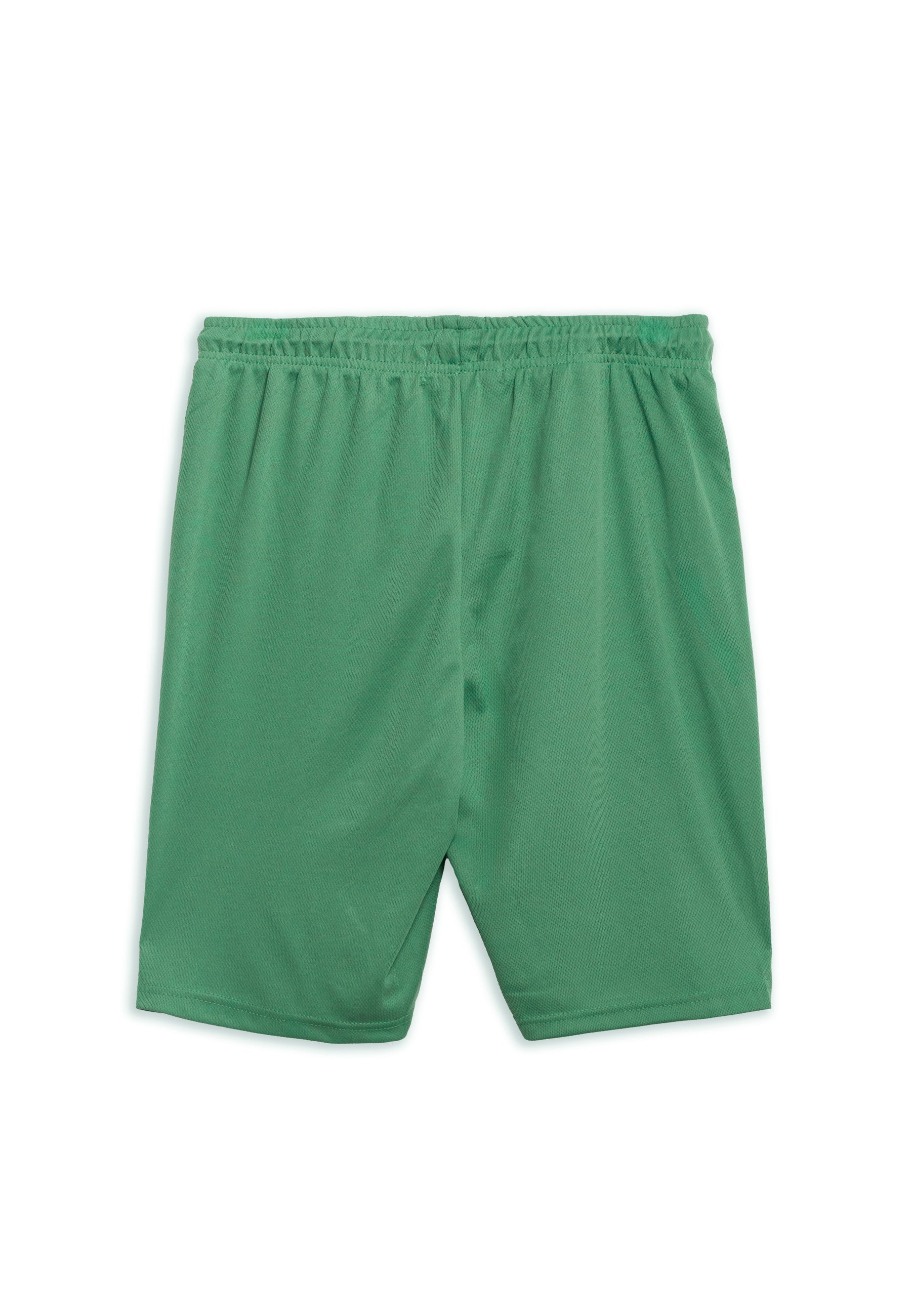 BERMUDA AREA ZERO VERDE BOSTON 36 SPORT SHORT