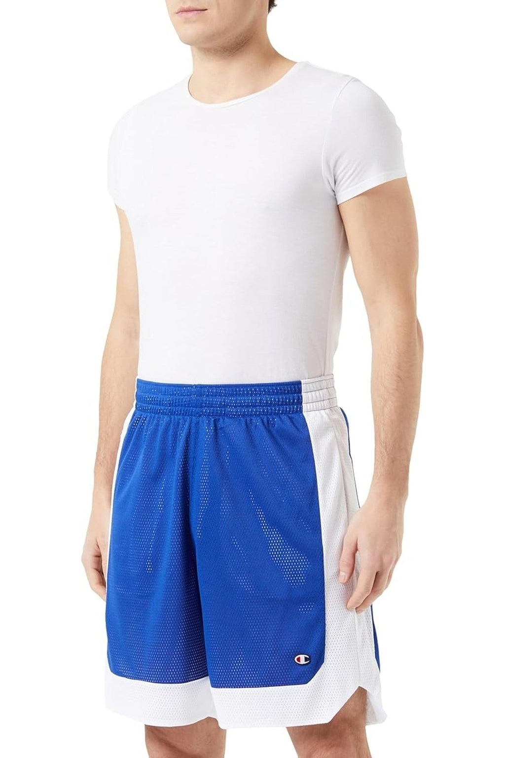 BERMUDA CHAMPION ROYAL LEGACY BASKET SHORT - AREA ZERO