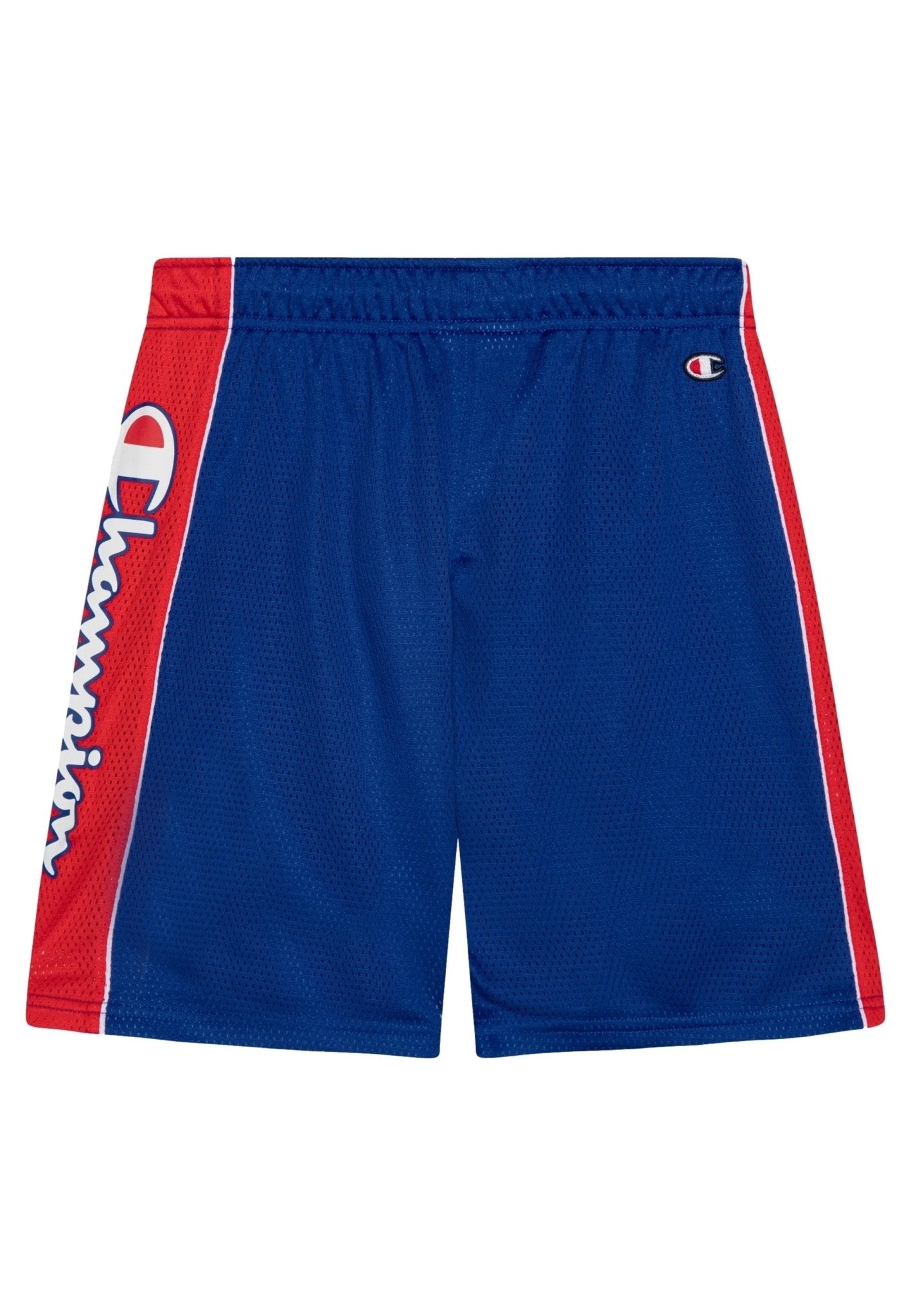 BERMUDA CHAMPION ROYAL SIDE LOGO BASKET SHORT - AREA ZERO