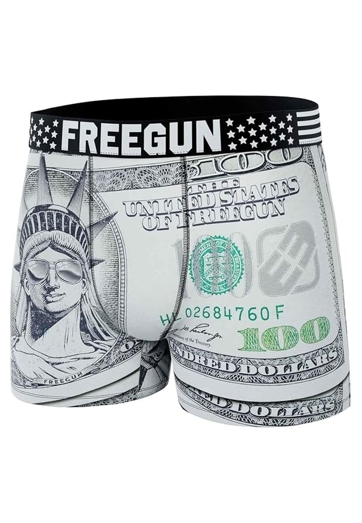 BOXER FREEGUN GRIS 100 DOLLARS STANDARD LENGHT TRUNK