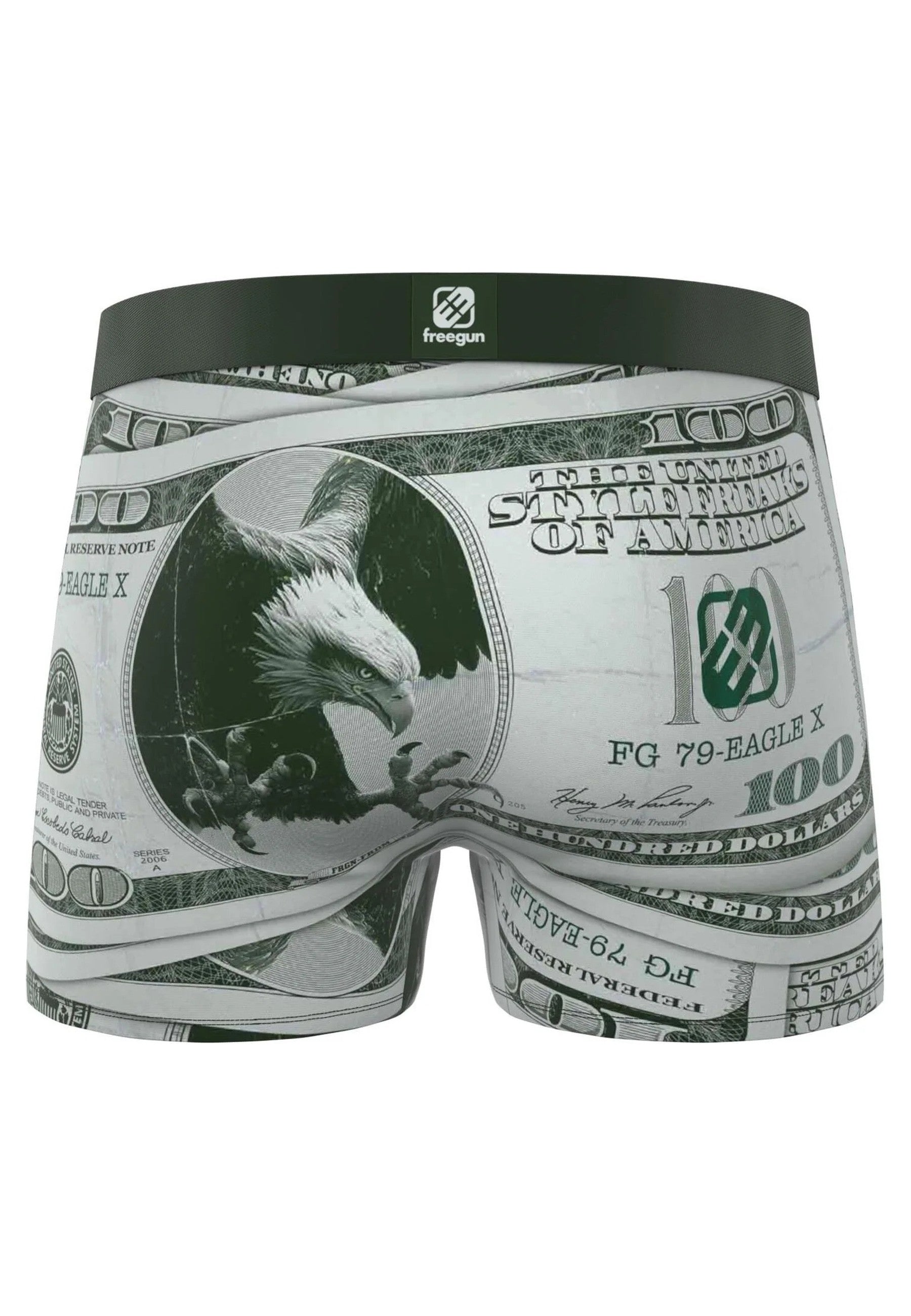 BOXER FREEGUN GRIS DOLLAR STANDARD LENGTH TRUNK