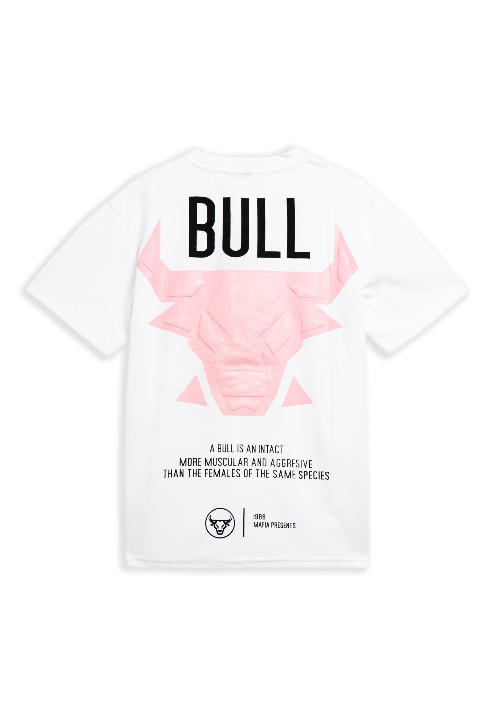 CAMISETA BLANCA BULL CHICAGO OVERSIZED TEE