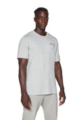CAMISETA CHAMPION GRIS SMALL LEGACY LOGO TEE
