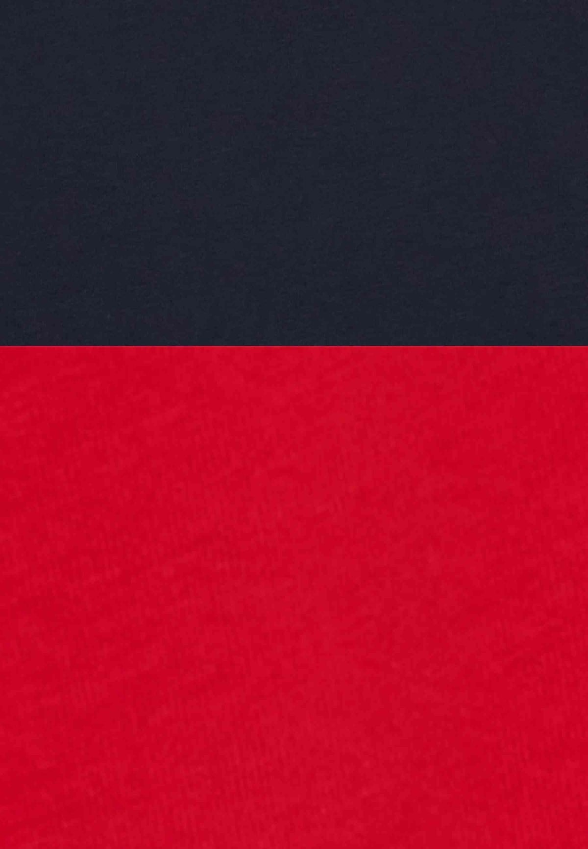 CAMISETA CHAMPION MARINO LONG SLEEVE LEGACY LOGO TEE