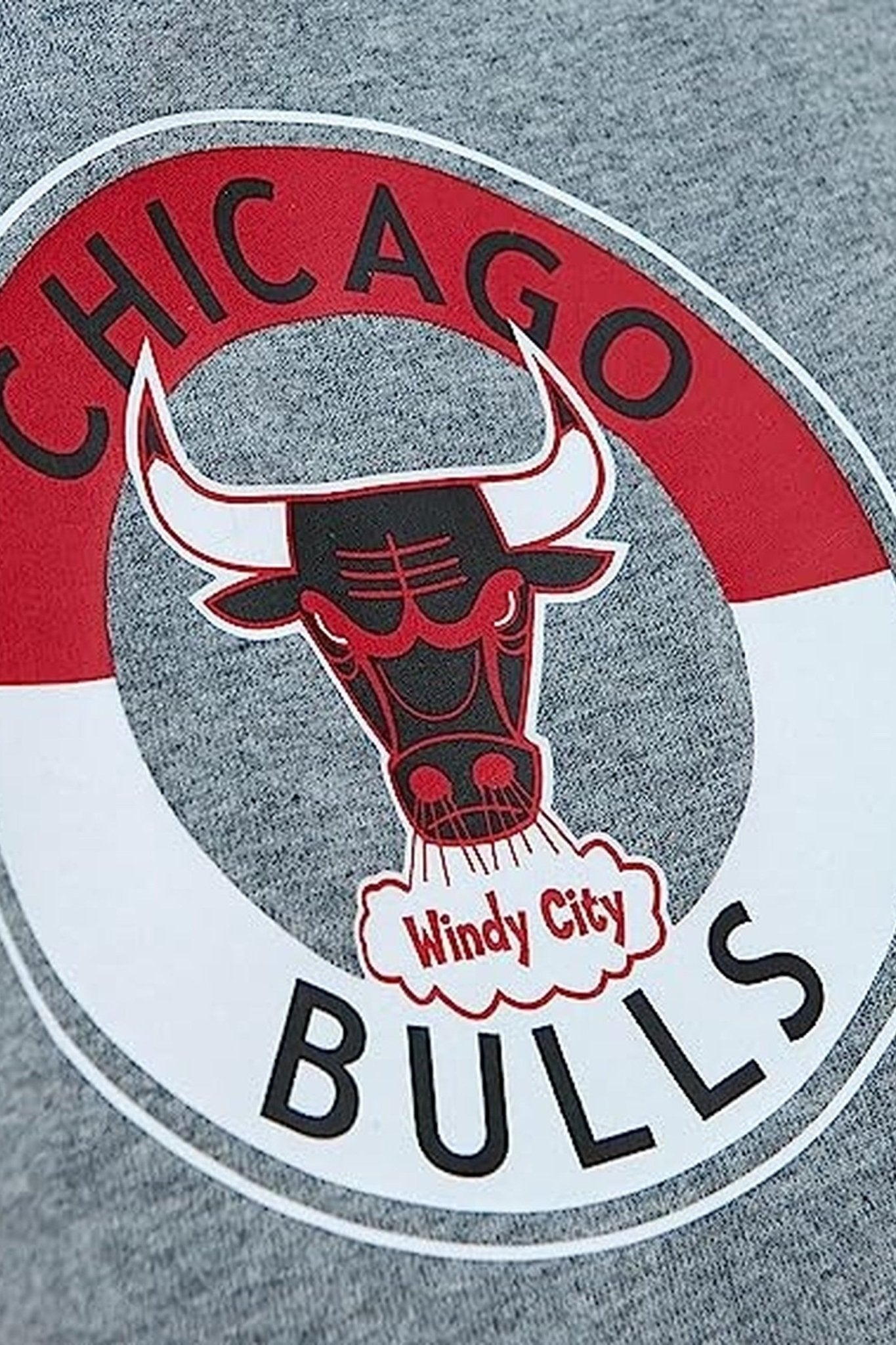 CAMISETA MITCHELL & NESS GRIS CHICAGO BULLS CITY COLLECTIO TEE - AREA ZERO