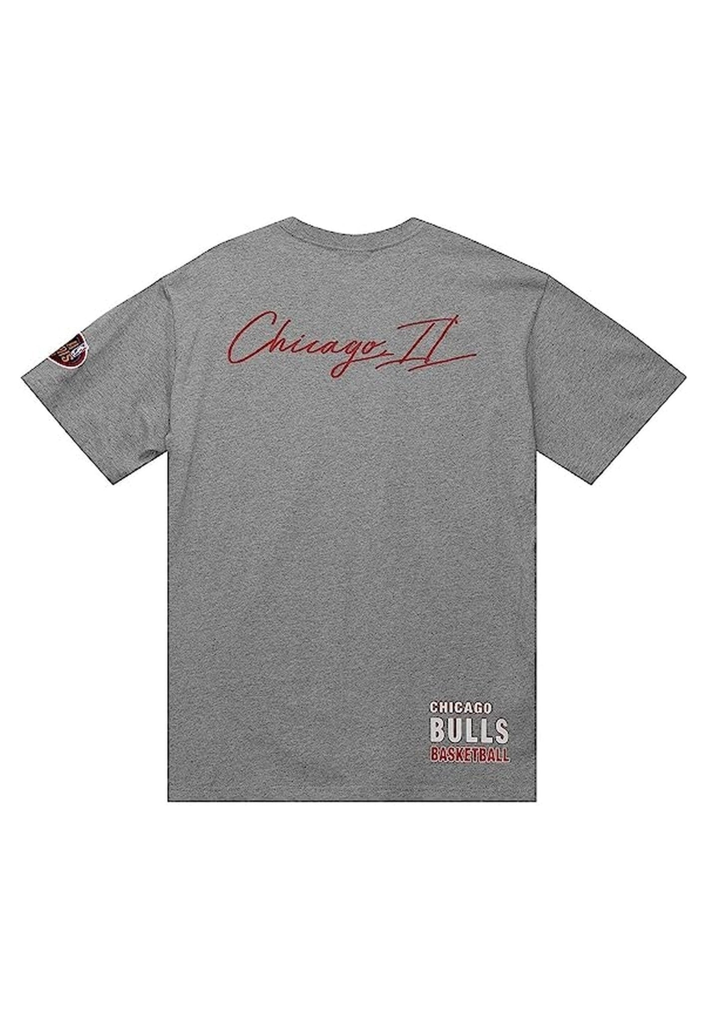 CAMISETA MITCHELL & NESS GRIS CHICAGO BULLS CITY COLLECTIO TEE - AREA ZERO