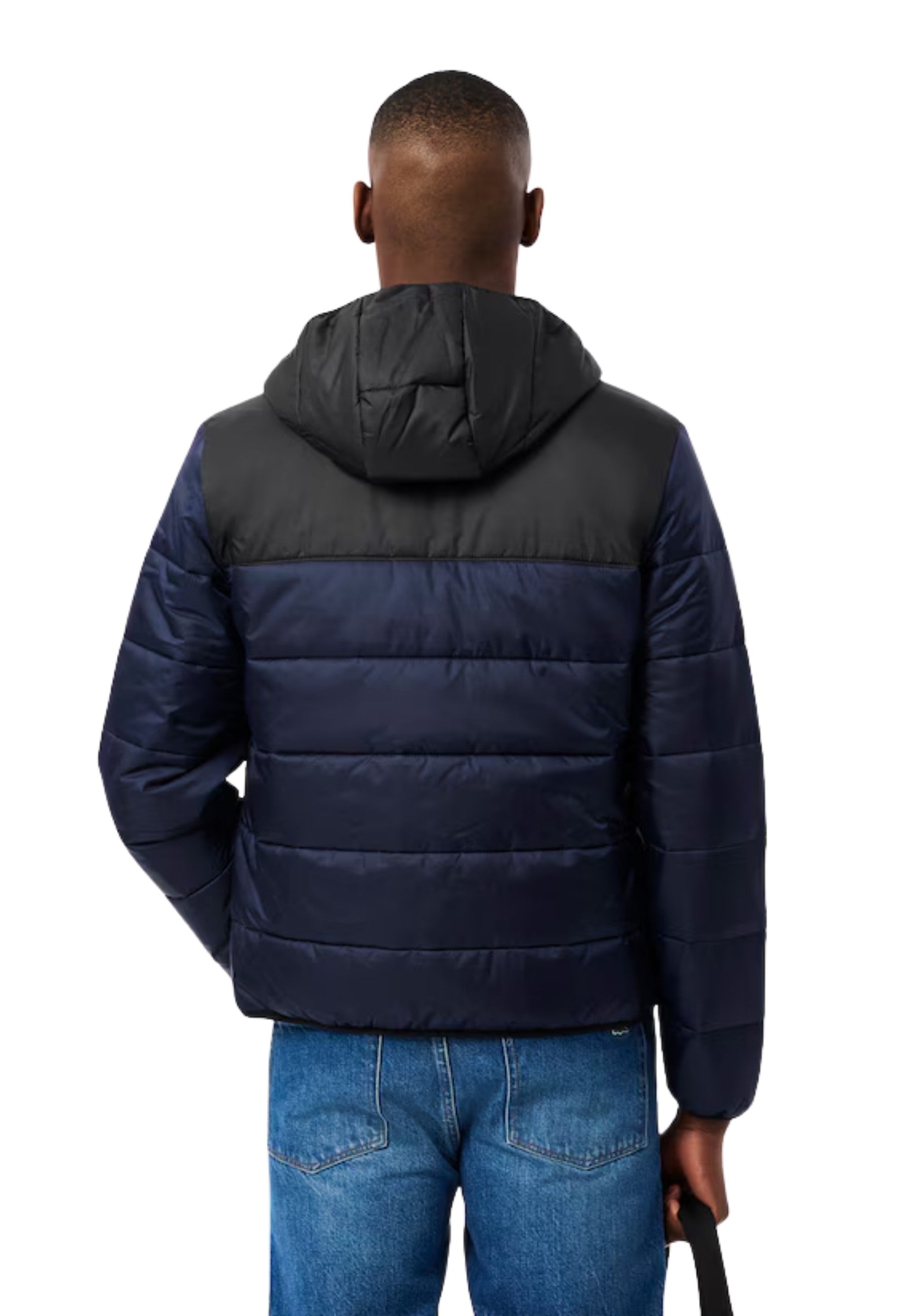 CAZADORA LACOSTE MARINO WATERPROOF PADDED JACKET