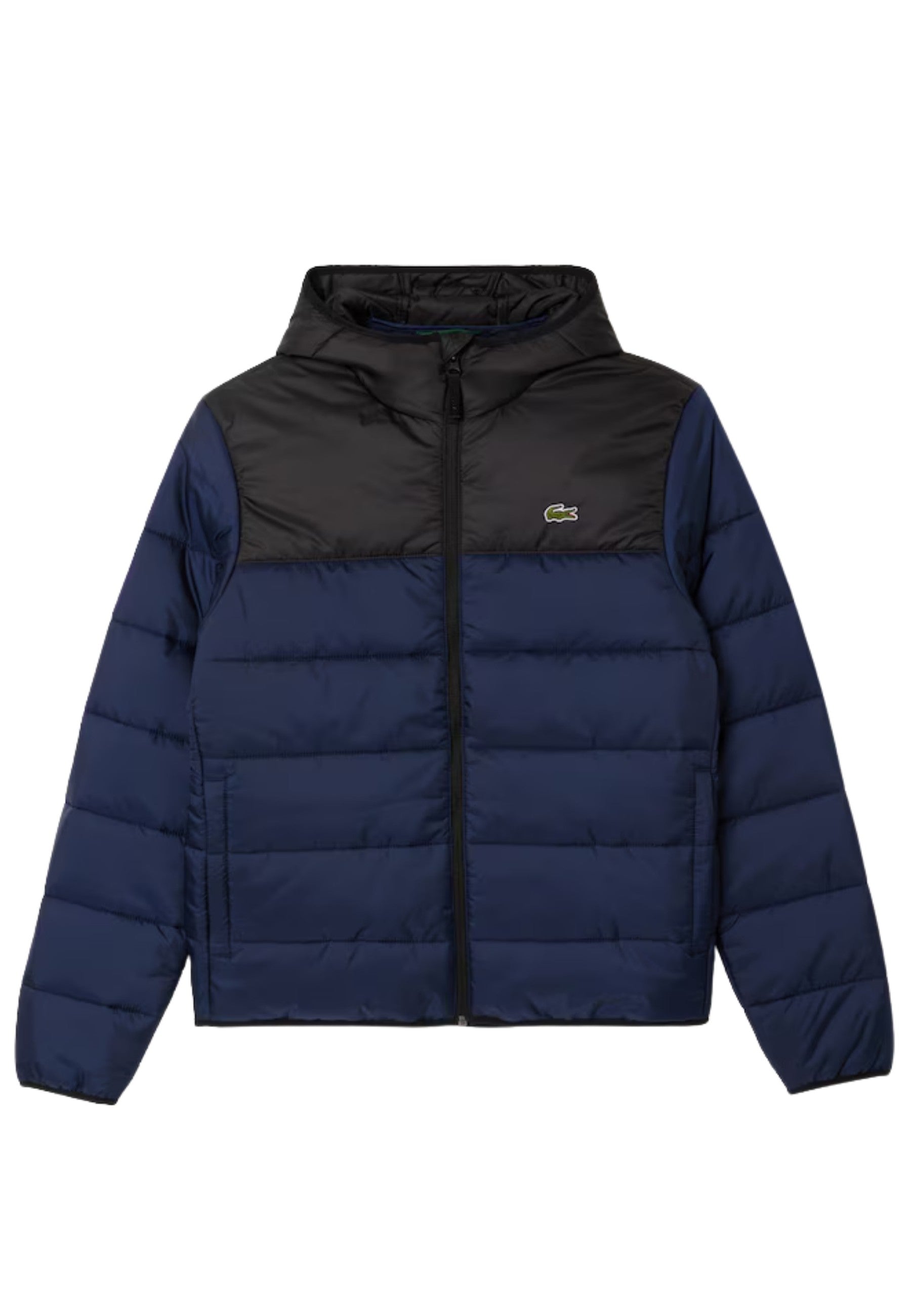CAZADORA LACOSTE MARINO WATERPROOF PADDED JACKET