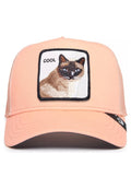 GORRA GOORIN BROS GATO COOL CAT TRUCKER NARANJA