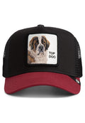 GORRA GOORIN BROS SAN BERNARDO THE TOP DOG TRUCKER NEGRA