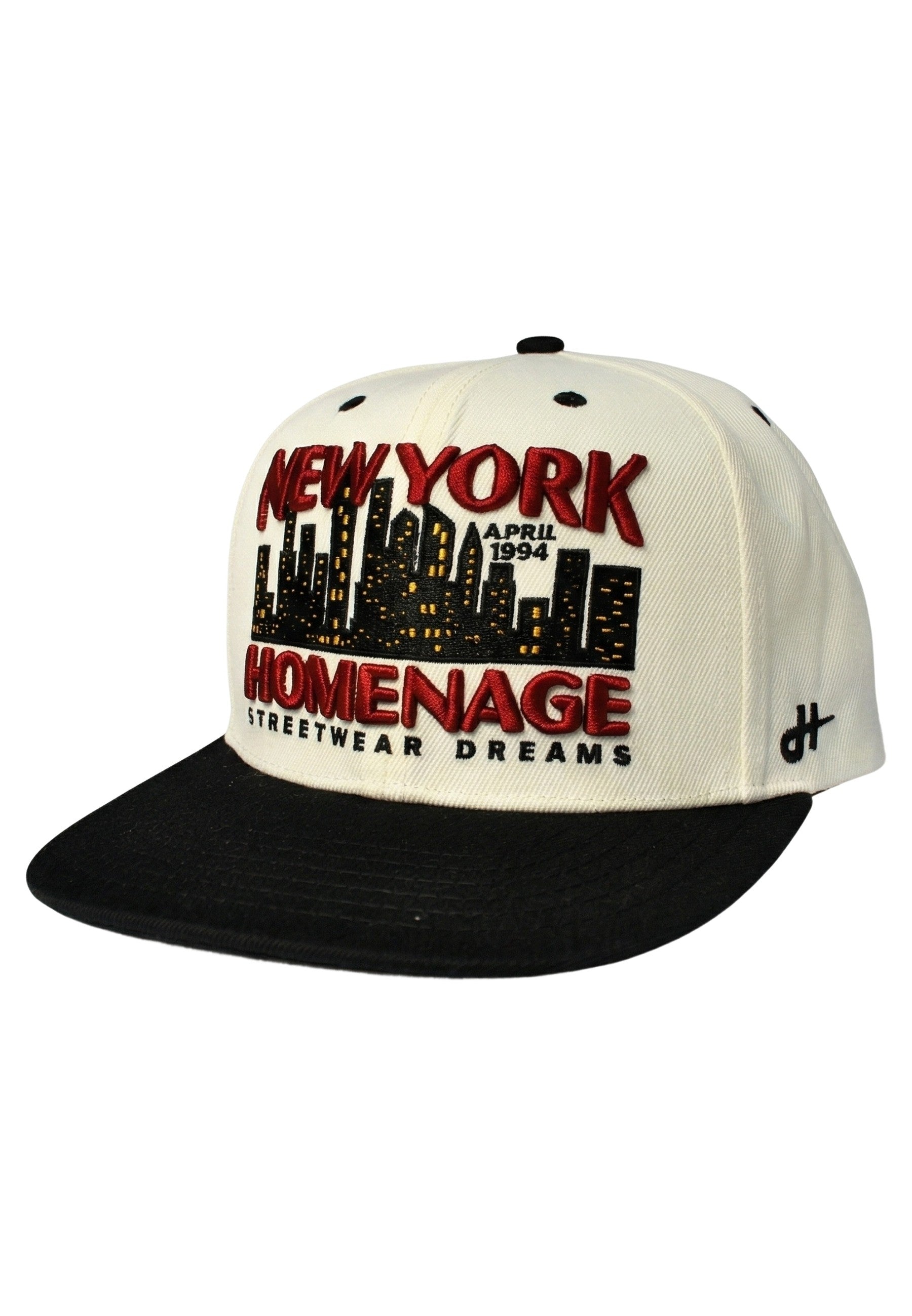 GORRA HOMENAGE NEGRA NYSKY SKYLINES THE SNAP SHAPE CAP