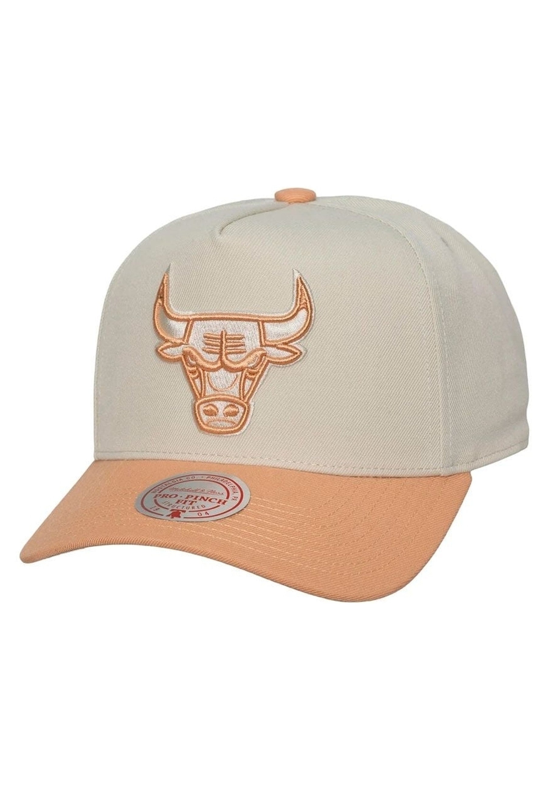 GORRA MITCHELL & NESS BULLS CHALK DUSK PRO SNAPBACK