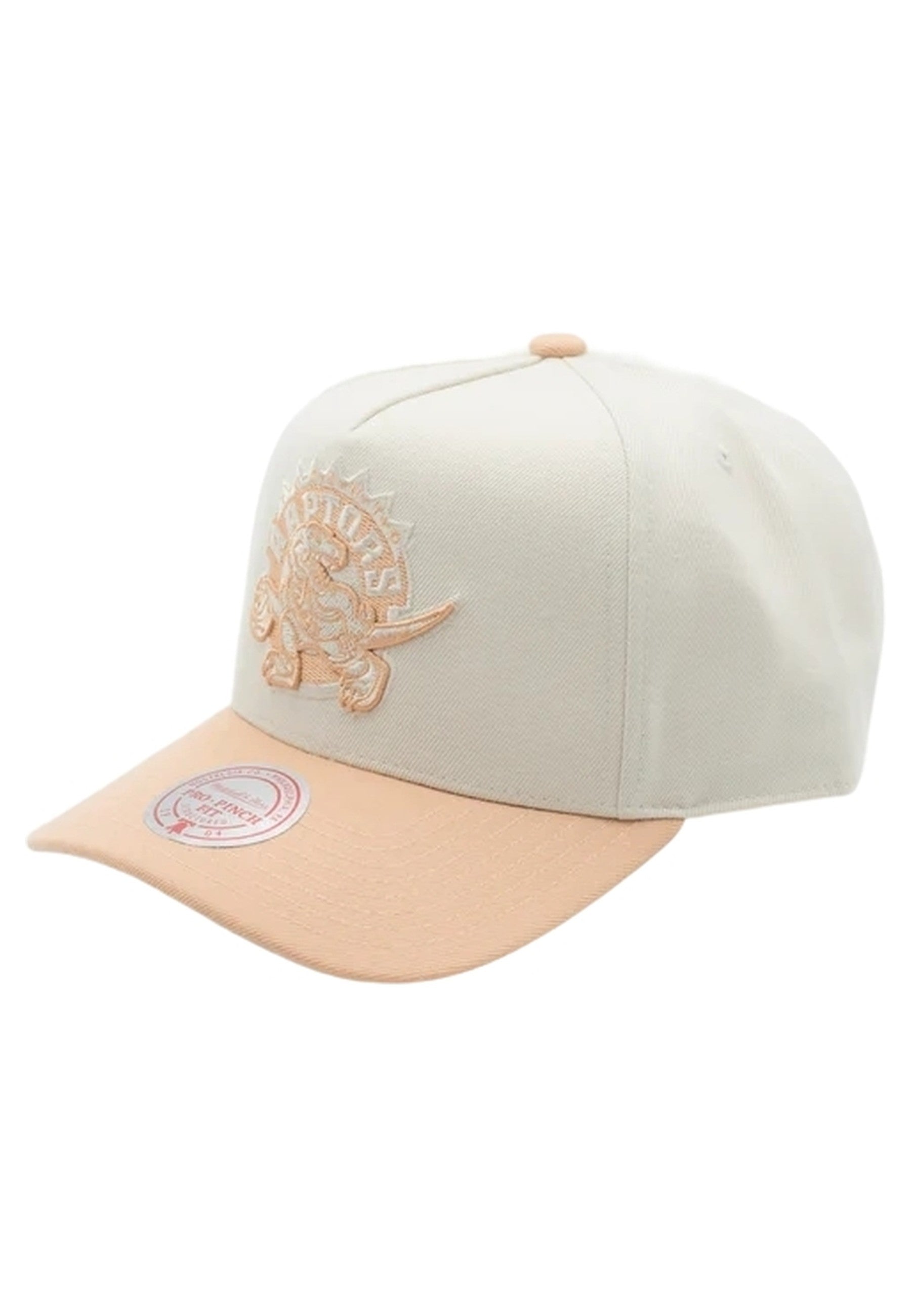 GORRA MITCHELL & NESS RAPTORS CHALK DUSK PRO SNAPBACK