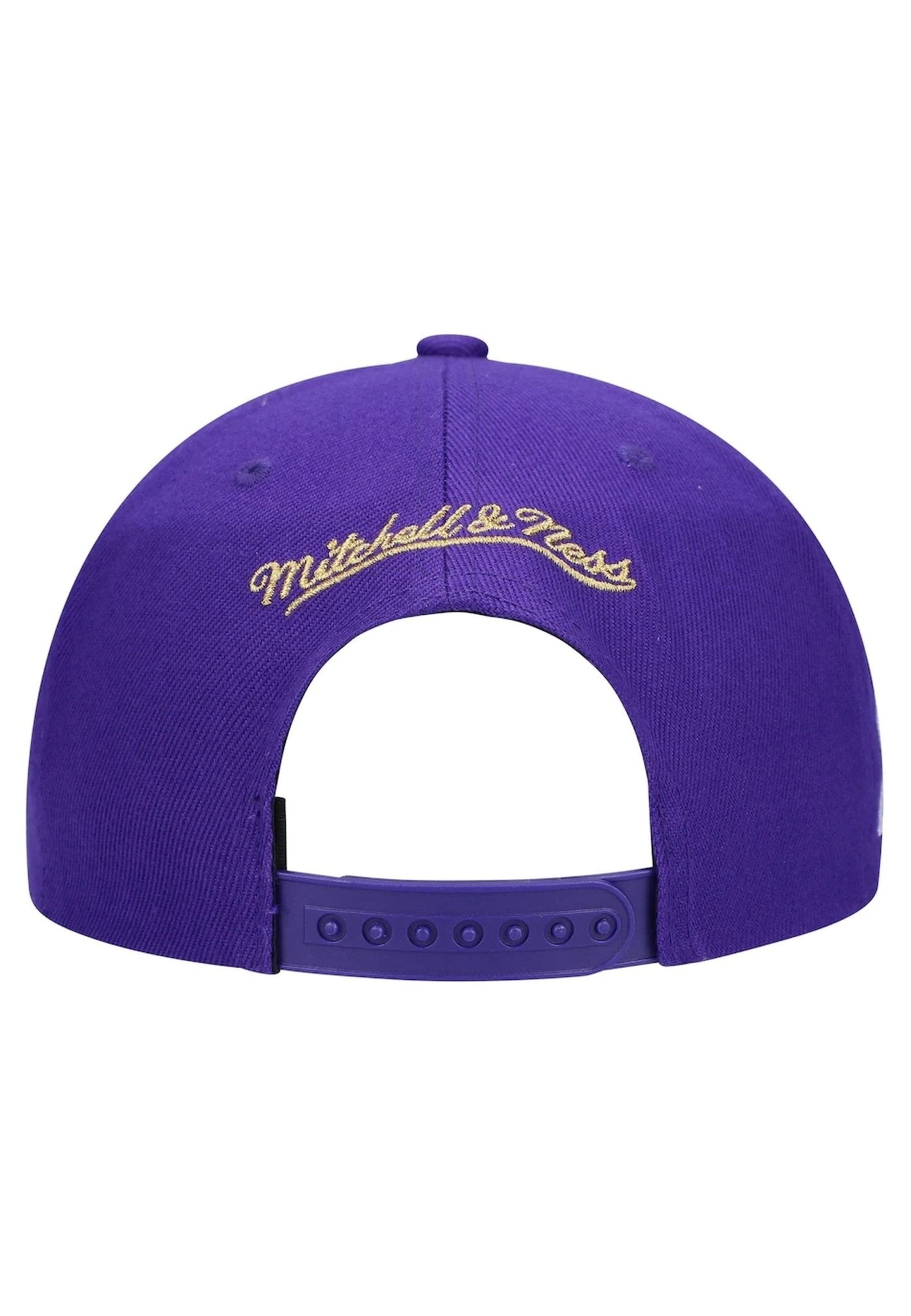 GORRA MITCHELL & NESS MORADA RAPTORS TEAM GROUND 2.0 HWC SNAPBACK - AREA ZERO