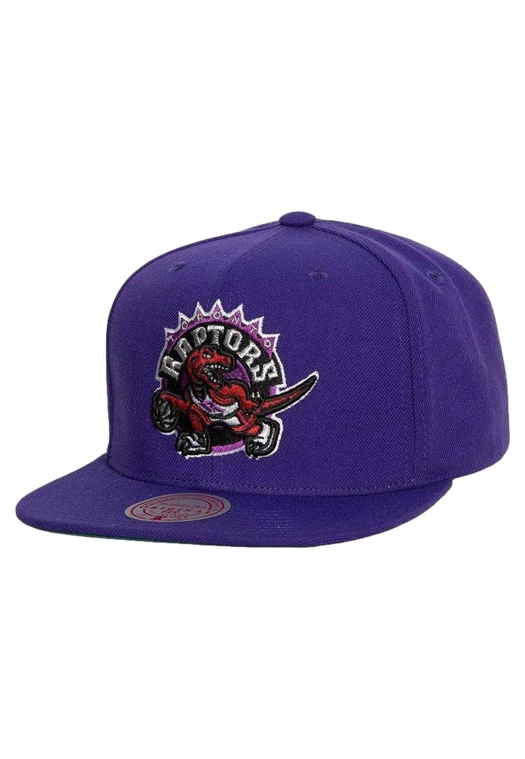 GORRA MITCHELL & NESS MORADA RAPTORS TEAM GROUND 2.0 FITTED HWC