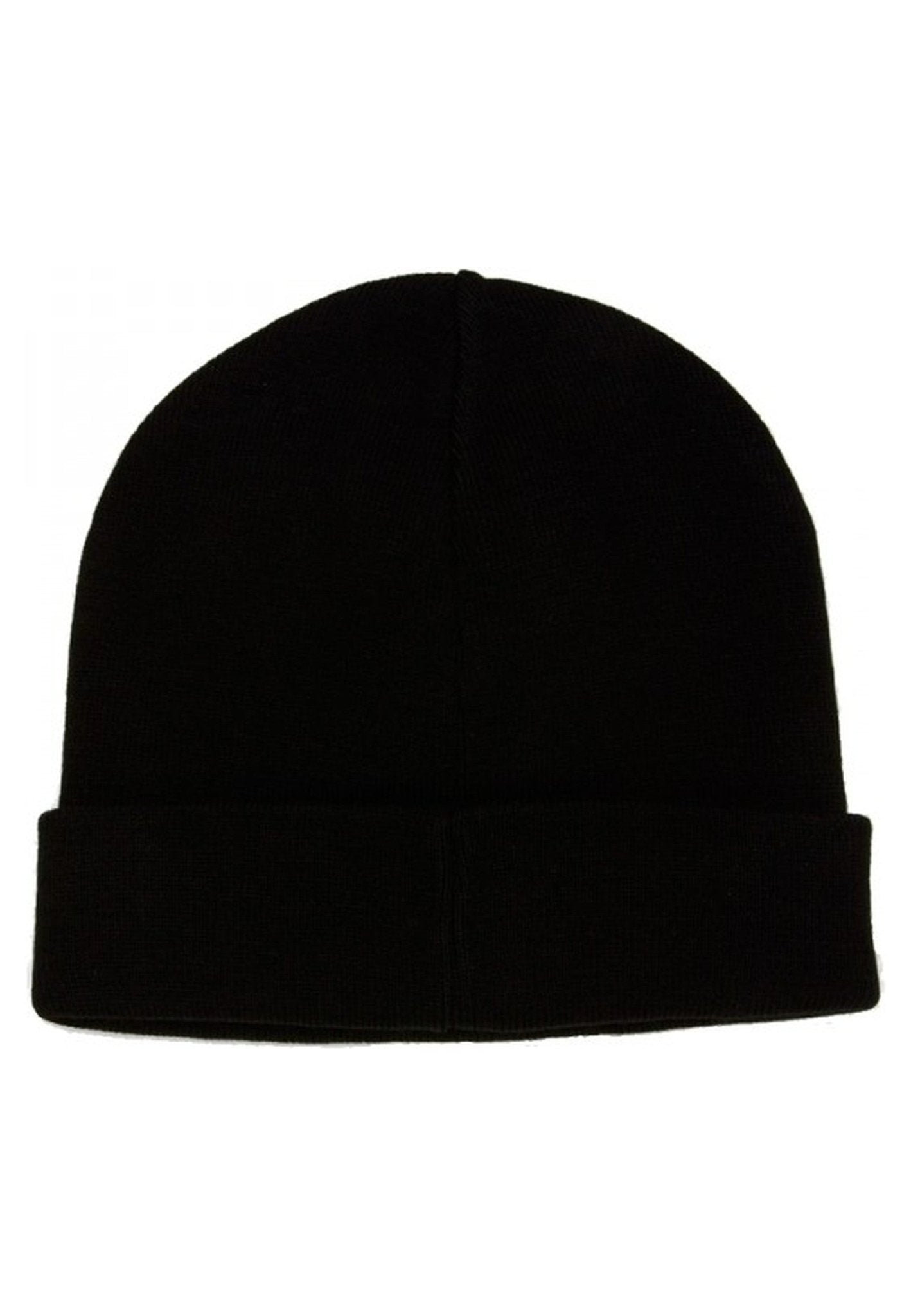 GORRO CHAMPION NEGRO LEGAVY EMBROIDERED LOGO - AREA ZERO