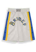 PANTALON GRIMEY GRIS DROPPING SCIENCE BAGGY MESH SHORT