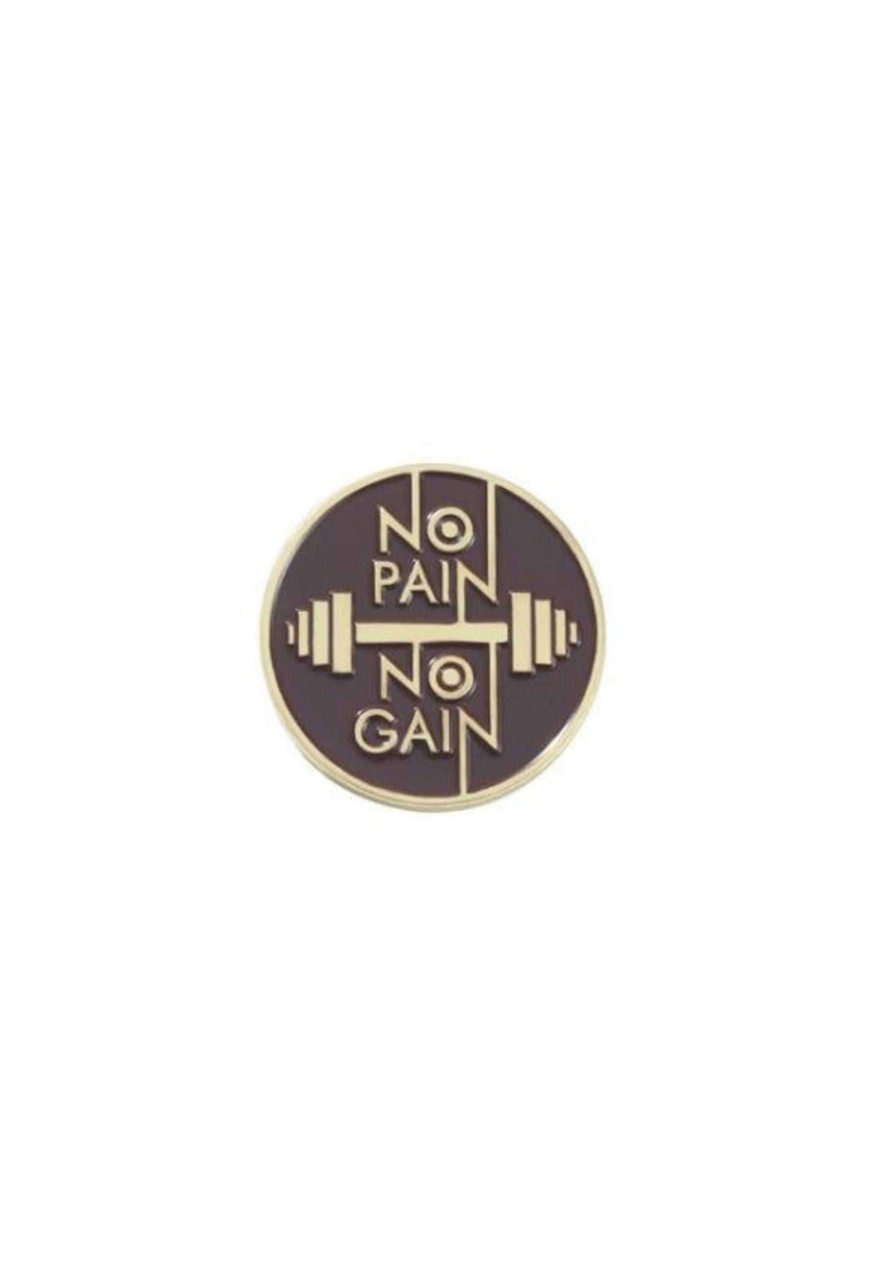 PIN NO PAIN NO GAIN