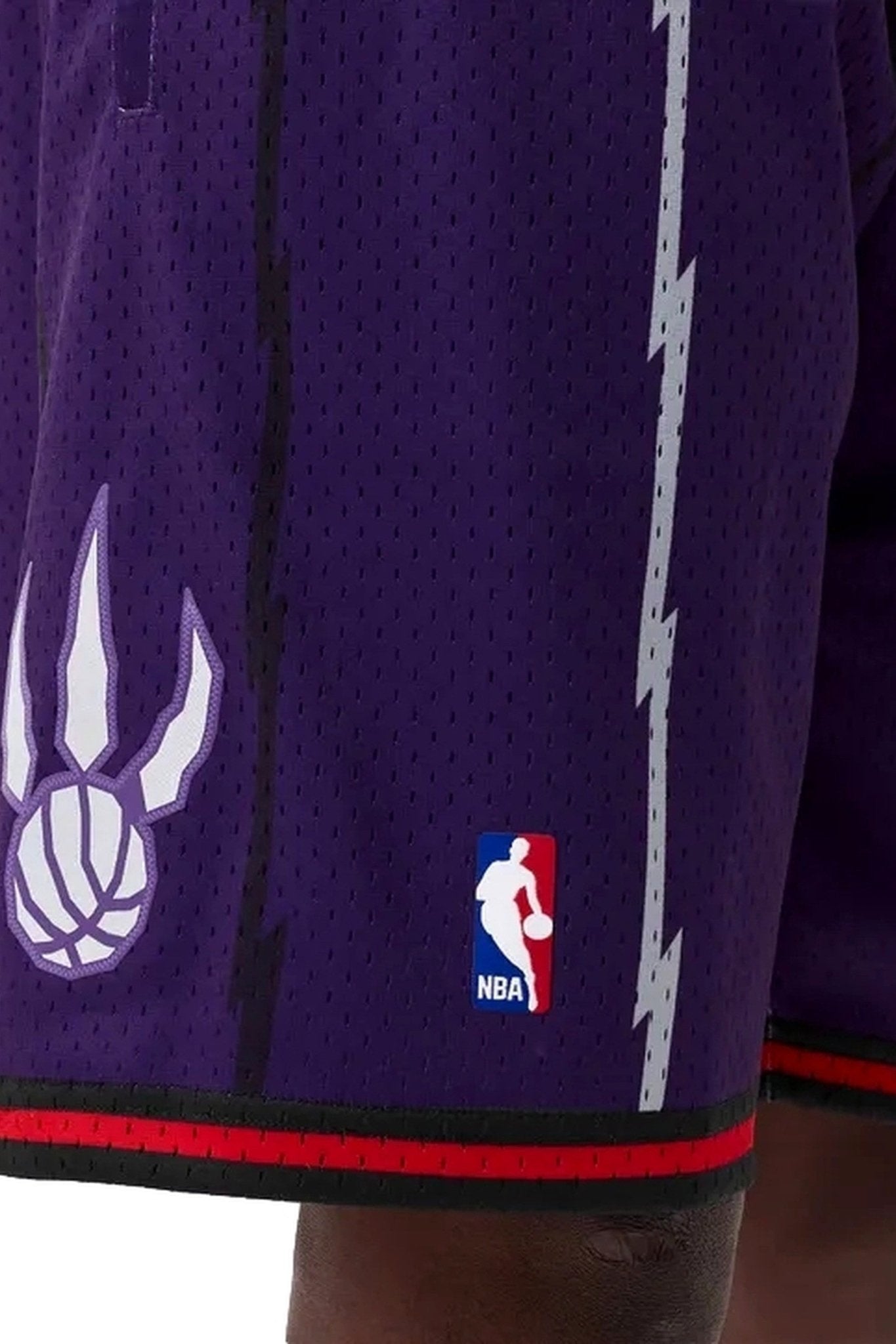 SHORT MICHELL & NESS MORADO TORONTO RAPTORS SWINGMAN MESH - AREA ZERO