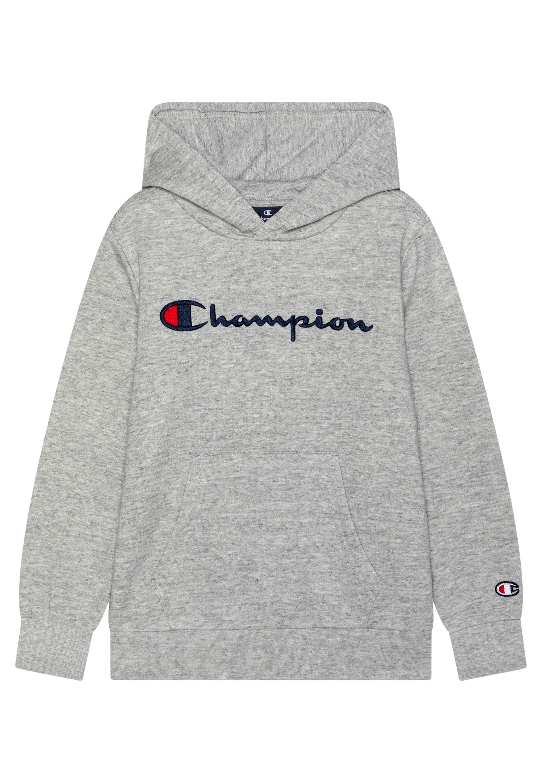 SUDADERA CHAMPION GRIS JUNIOR EMBROIDERED SCRIPT LOGO HOODIE