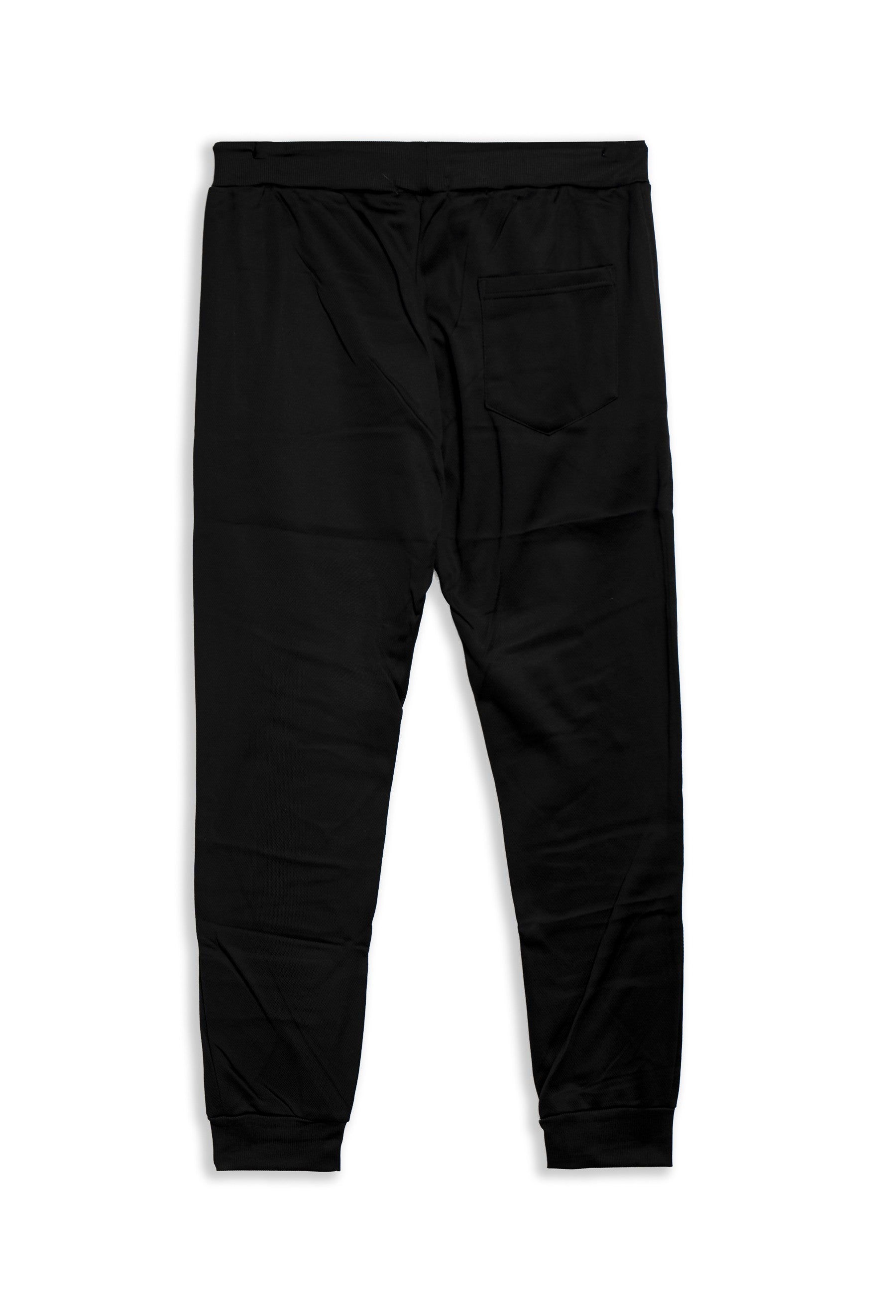PANTALON AREA ZERO NEGRO/TURQUESA VANQUISH ANGRY BEAR TRACKPANT